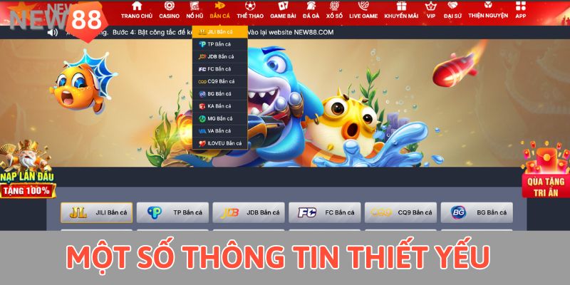 Cá Cược Quần Vợt - Chỉ Dẫn Đầy Đủ Từ A - Z Cho Tân Binh Một số thông tin thiết yếu