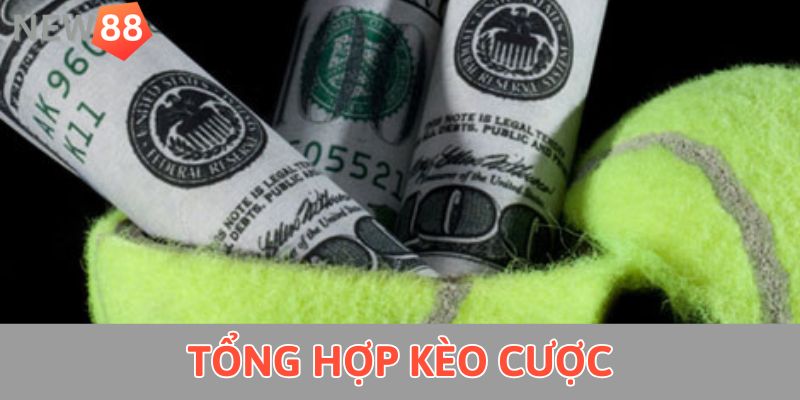 Cá Cược Quần Vợt - Chỉ Dẫn Đầy Đủ Từ A - Z Cho Tân Binh Tổng hợp kèo cược